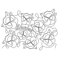 shalee pano 001